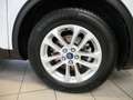 Ford Kuga 2,0 EcoBlue Titanium Aut. Weiß - thumbnail 4