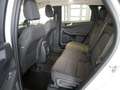 Ford Kuga 2,0 EcoBlue Titanium Aut. Weiß - thumbnail 21