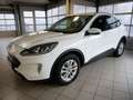 Ford Kuga 2,0 EcoBlue Titanium Aut. Weiß - thumbnail 1