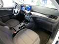 Ford Kuga 2,0 EcoBlue Titanium Aut. Weiß - thumbnail 18