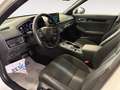 Honda Civic 2.0 Hev Sport Bianco - thumbnail 6