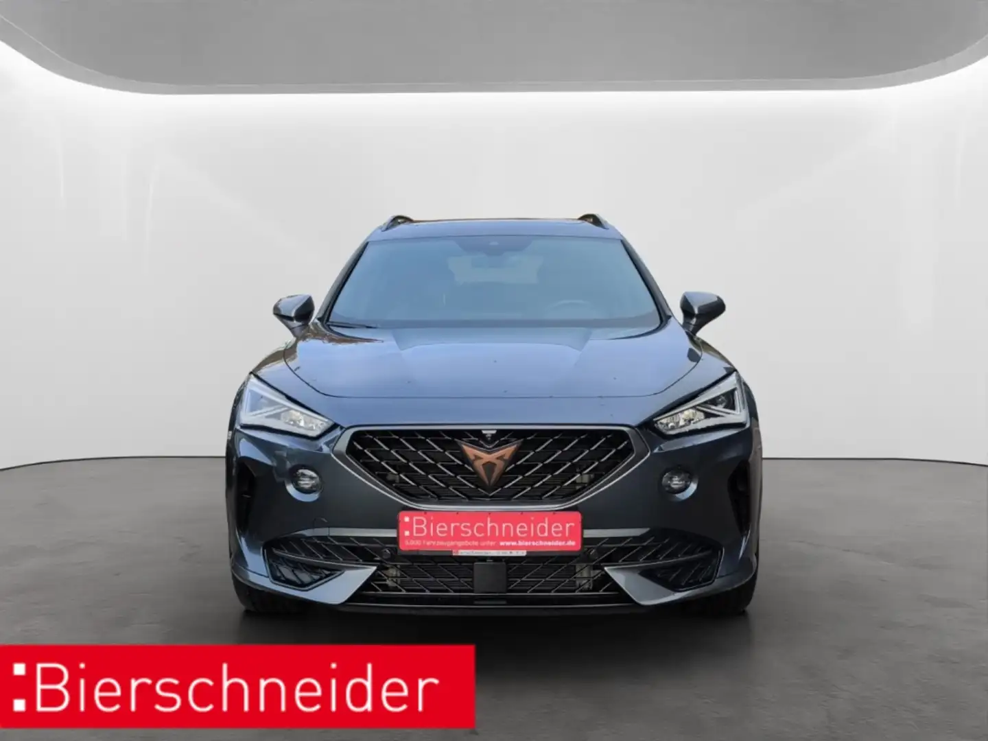 CUPRA Formentor 1.5 TSI DSG LED NAVI PANORAMA 19 PARKLENK ACC Grau - 2