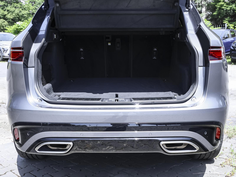 Jaguar F-Pace D300 R-Dynamic SE AWD NAVI BLACK PACK AHK — photo 8