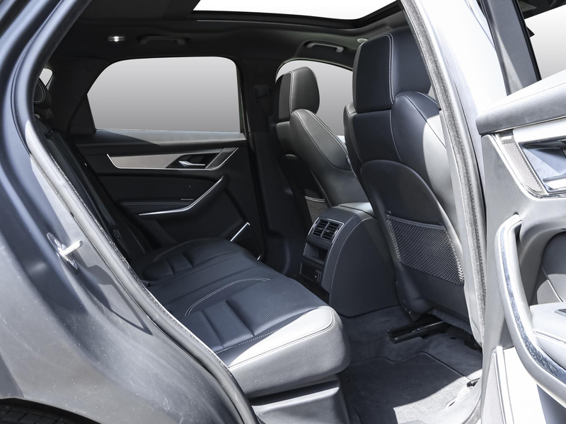 Jaguar F-Pace D300 R-Dynamic SE AWD NAVI BLACK PACK AHK — photo 4