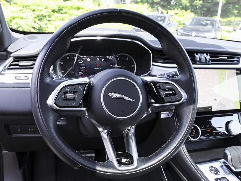 Jaguar F-Pace D300 R-Dynamic SE AWD NAVI BLACK PACK AHK — photo 11