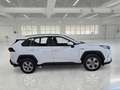 Toyota RAV 4 2.5 HV 178cv E-CVT Business 2WD - thumbnail 3