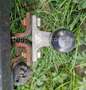 Dacia Dokker Ambiance_Klima_8 fach_AHZV starr Negru - thumbnail 14