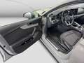 Audi A5 40 TDI S line Virtual Carplay ACC S Gris - thumbnail 14