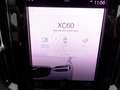 Volvo XC60 2.0 D4 BUSINESS PLUS GEARTRONIC my21 Vert - thumbnail 21