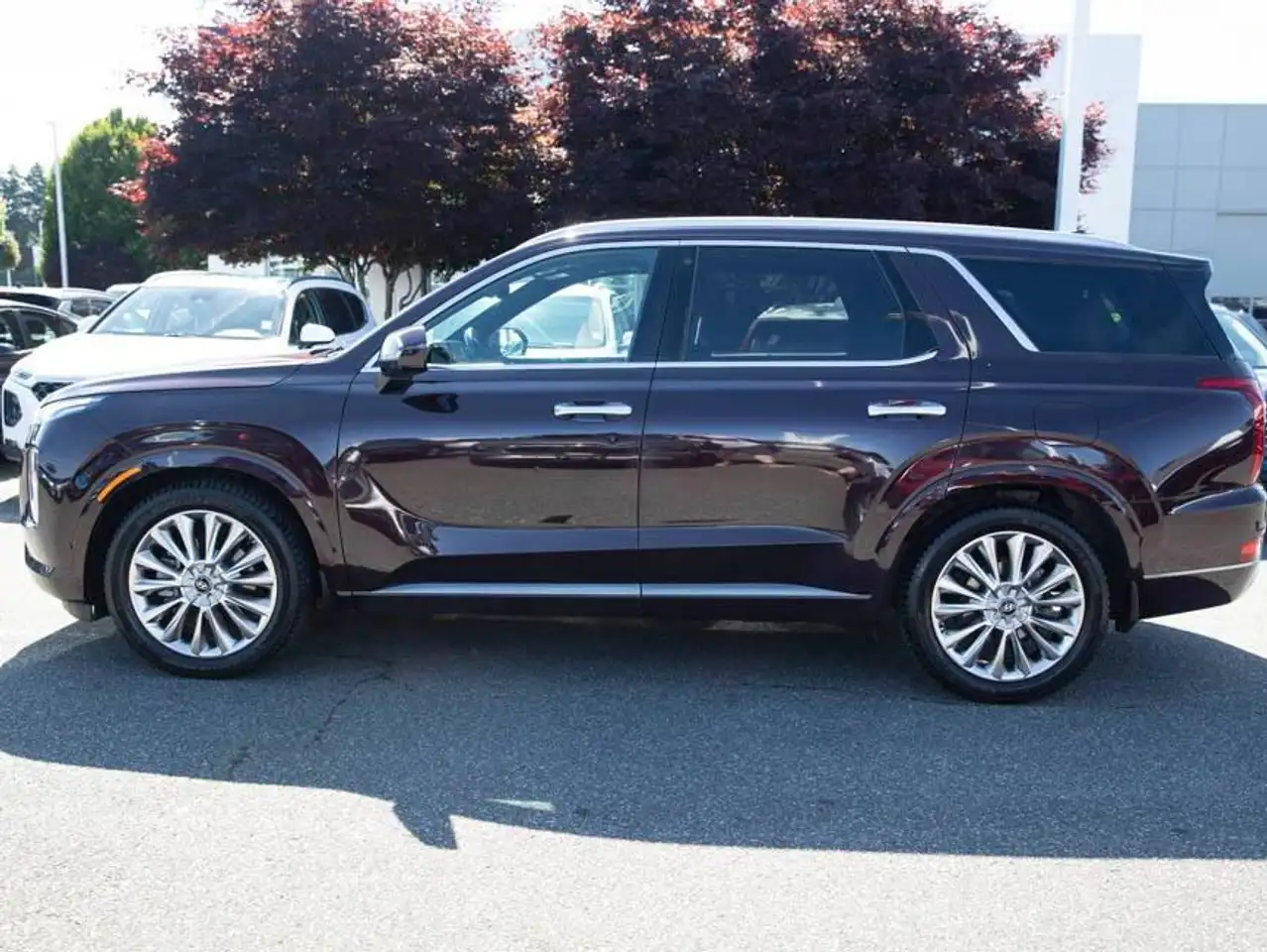Hyundai PALISADE снимка Hyundai PALISADE