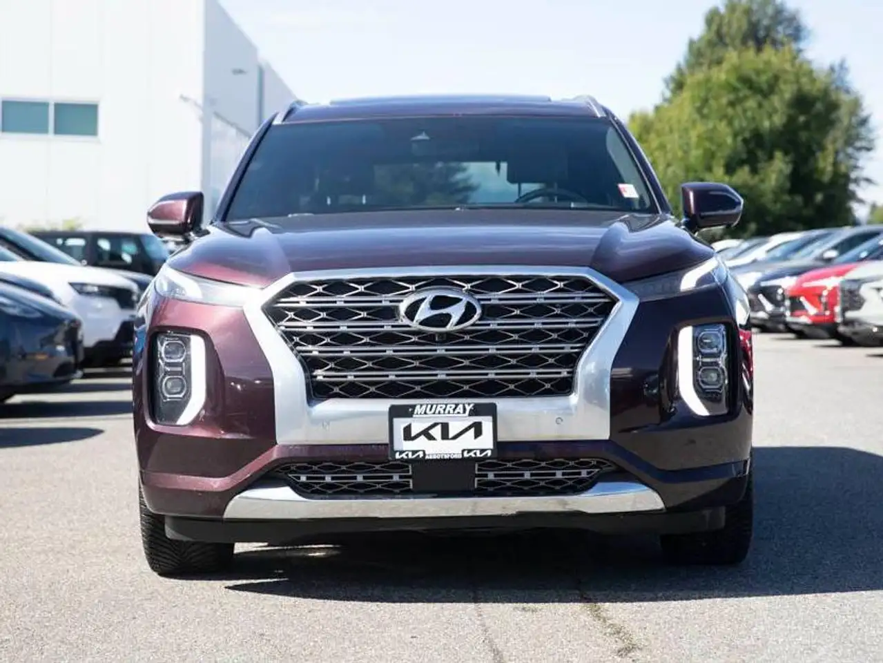 Hyundai PALISADE снимка Hyundai PALISADE