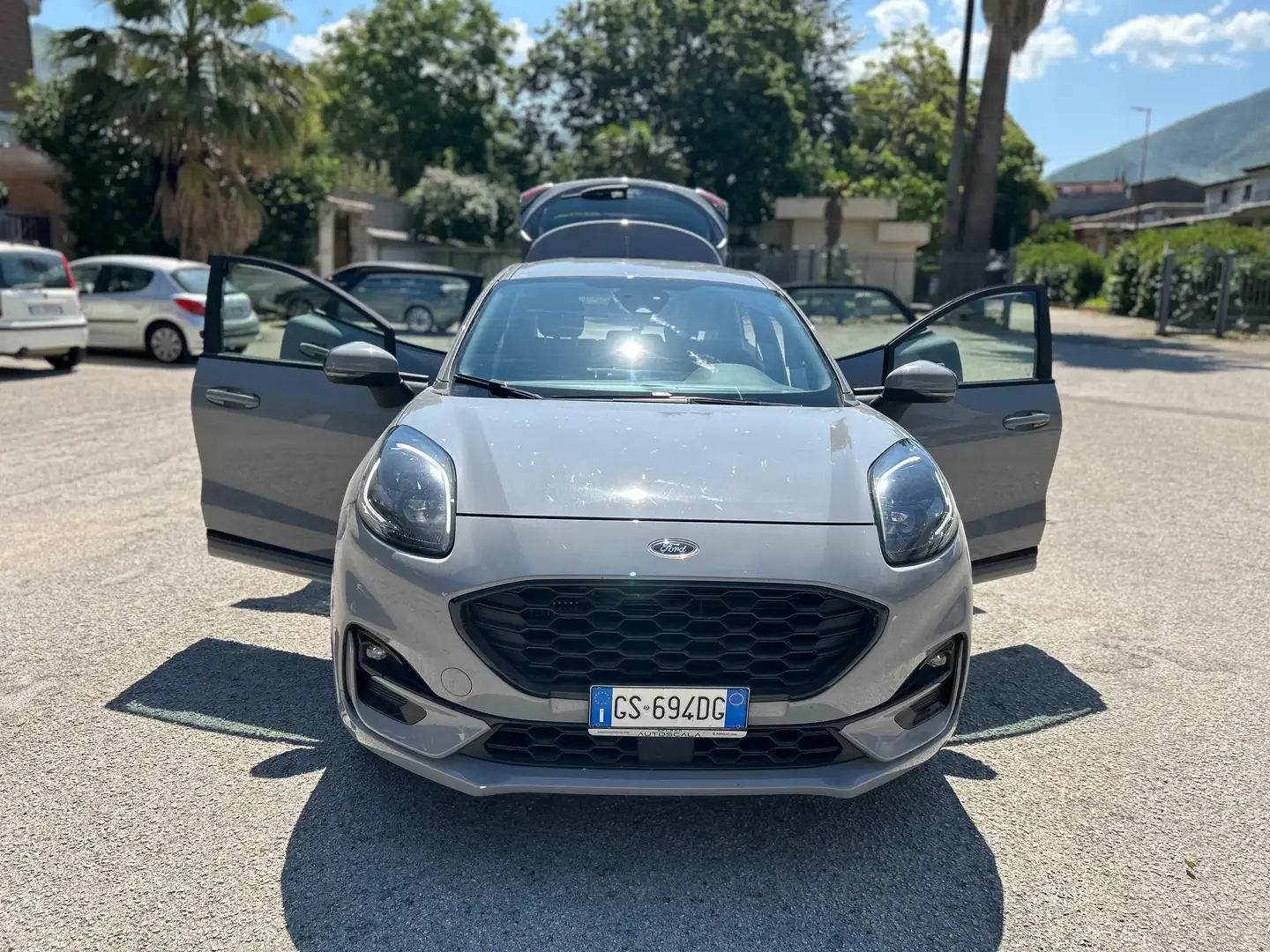 Ford Puma Puma II 2020 1.0 ecoboost h ST-Line X s Grau - 2