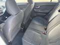 Kia Picanto 1.0 CVVT DynamicLine |Airco|CruiseCtrl|5 Deurs|Sta Blanco - thumbnail 11