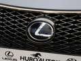Lexus RC 300h F Sport Premium | Mark Levinson | Carplay | Schuif Grigio - thumbnail 40