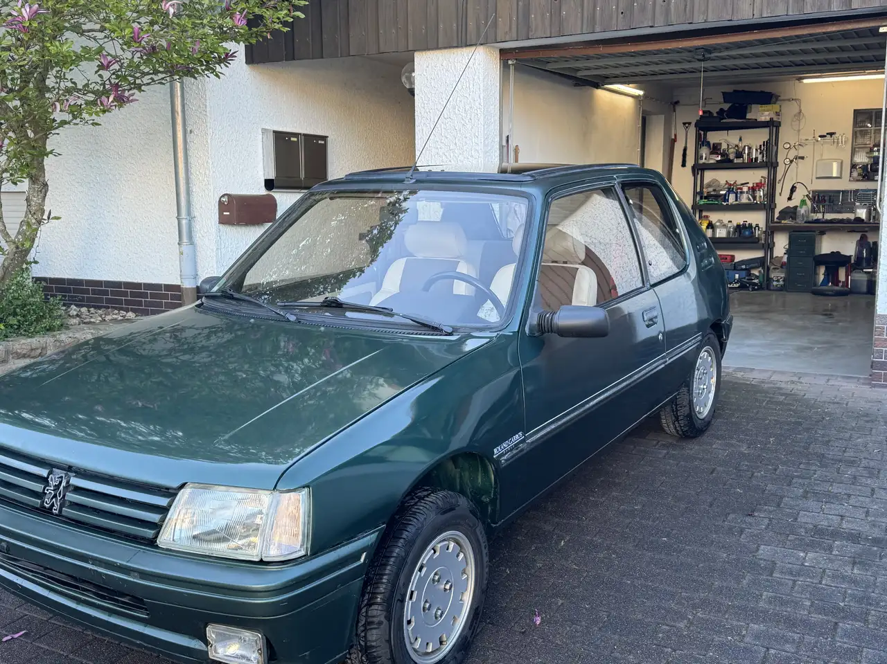 Peugeot 205 Roland Garros, foto 3