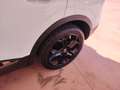 Renault Kadjar Kadjar 1.5 dci energy zen 110cv Bianco - thumbnail 7