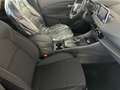 Nissan Qashqai 1.3 MHEV 158 CV X-Tronic Business KM0 MY23 Nero - thumbnail 12