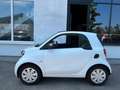 smart forTwo Basis 52kW Weiß - thumbnail 2