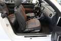 Volkswagen Beetle Cabriolet 1.2 TSI Allstar Airco-ecc Navigatie Came Wit - thumbnail 15