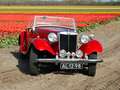 MG TD TD undefined Rood - thumbnail 4
