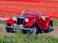 MG TD TD undefined Rood - thumbnail 6