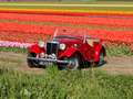 MG TD TD undefined Rosso - thumbnail 5