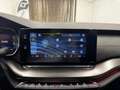 Skoda Octavia 2.0 TDI DPF RS Blau - thumbnail 33