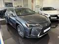 Lexus UX 300e + Gris - thumbnail 2
