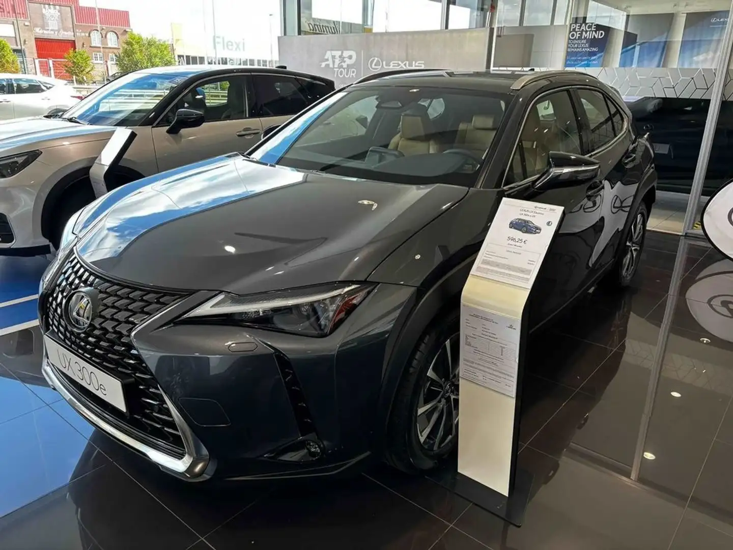 Lexus UX 300e + Grau - 1