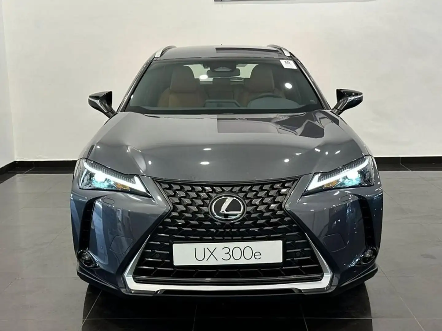 Lexus UX 300e + Gris - 2