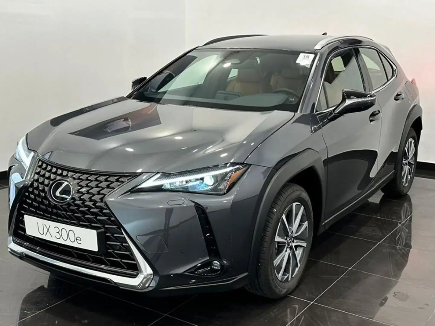 Lexus UX 300e + Gris - 1