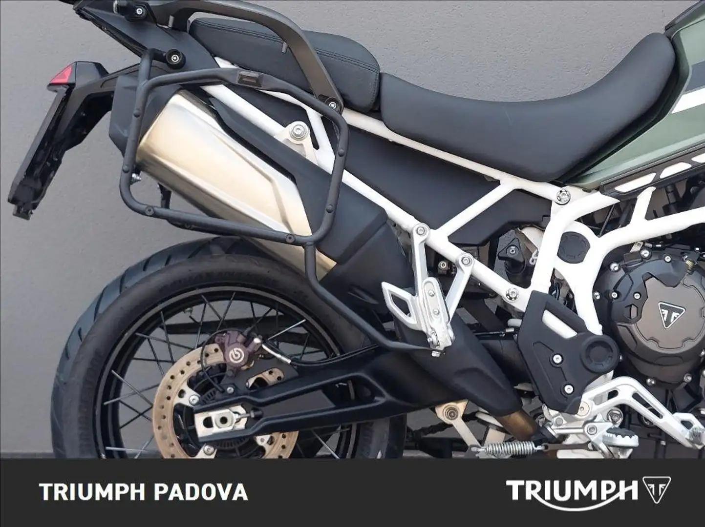 Triumph Tiger 900 Rally Pro Verde - 2