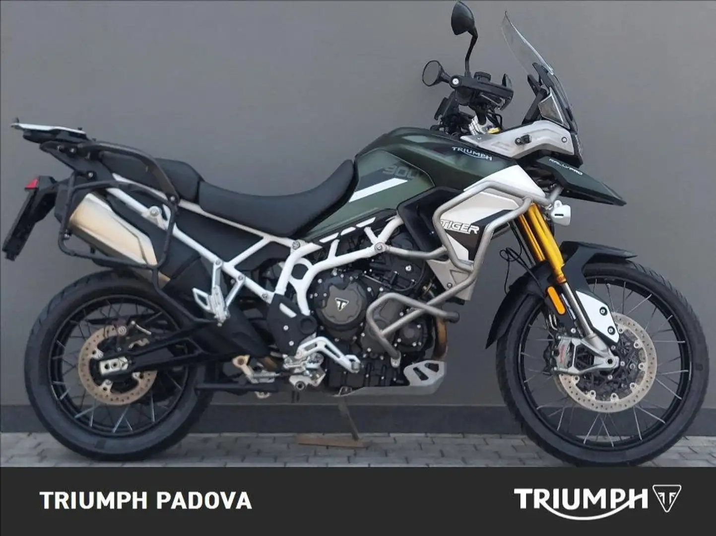 Triumph Tiger 900 Rally Pro Verde - 1