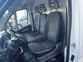 Citroen Jumper JUMPER COIBENTATO TRASPORTO MEDICINALI Bianco - thumbnail 12