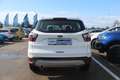 Ford Kuga 1.5 EcoBoost Cool&Connect*AHK*Navi*PDC*Klimautom Wit - thumbnail 3