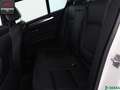 BMW 520 520 d M SPORT SHADOW HUD,KEYLESS,NAVIPROF,HIFI Weiß - thumbnail 11