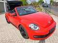 Volkswagen Beetle The Beetle Cabriolet 1.2 TSI (BlueMotion Tech) Rosso - thumbnail 15