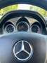 Mercedes-Benz C 220 SW cdi be Avantgarde AMG c/bixeno - thumbnail 13