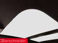 Audi S4 Av TDI qu Competition Plus 19 AHK MATRIX PANO Schwarz - thumbnail 18