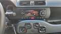 Fiat Panda Panda III 2021 1.0 firefly hybrid s Grigio - thumbnail 11