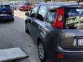 Fiat Panda Panda III 2021 1.0 firefly hybrid s Grigio - thumbnail 7