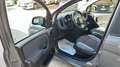 Fiat Panda Panda III 2021 1.0 firefly hybrid s Grigio - thumbnail 14