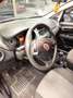 Fiat Punto 1.2 8V 5 porte Street Nero - thumbnail 14
