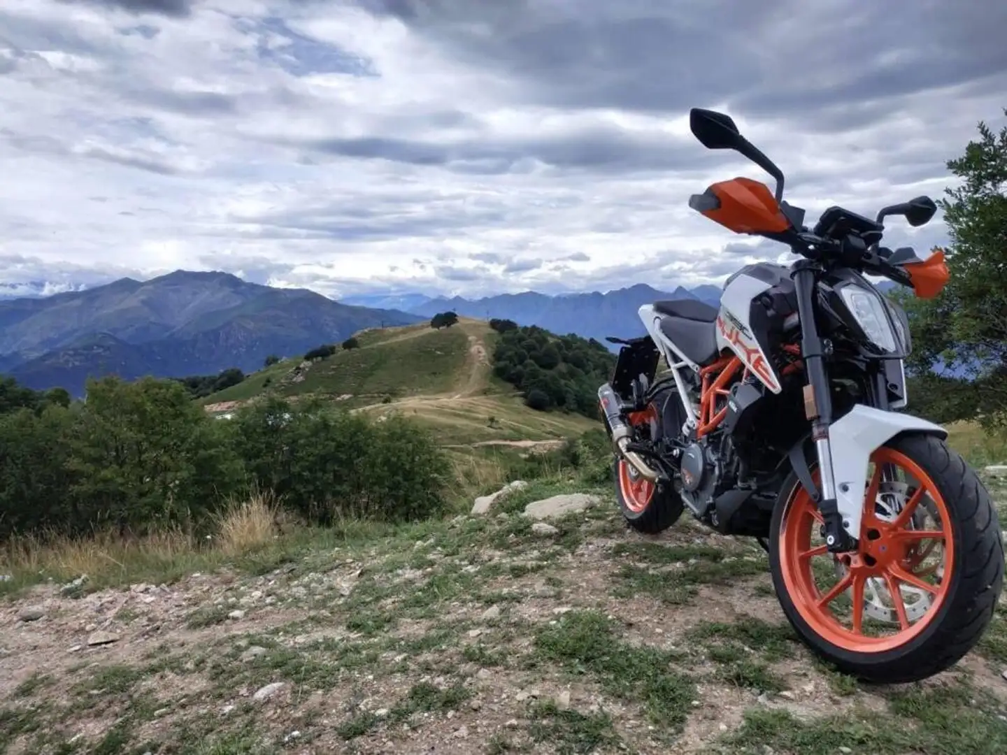 KTM 390 Duke Bianco - 1