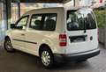Volkswagen Caddy Startline ** 7 Sitzer ** TÜV NEU** Weiß - thumbnail 3