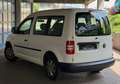 Volkswagen Caddy Startline ** 7 Sitzer ** TÜV NEU** Weiß - thumbnail 2