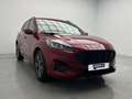 Ford Kuga 1.5 EcoBlue ST-Line FWD 120 Rojo - thumbnail 9