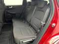 Ford Kuga 1.5 EcoBlue ST-Line FWD 120 Rojo - thumbnail 23
