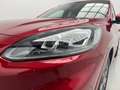 Ford Kuga 1.5 EcoBlue ST-Line FWD 120 Rojo - thumbnail 6