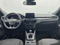 Ford Kuga 1.5 EcoBlue ST-Line FWD 120 Rojo - thumbnail 12